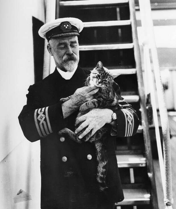 Капитан лайнера и кот; 1920-е годы история, ретро, фото