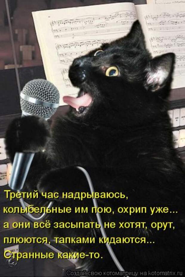 Лучшие котоматрицы недели (50 фото)
