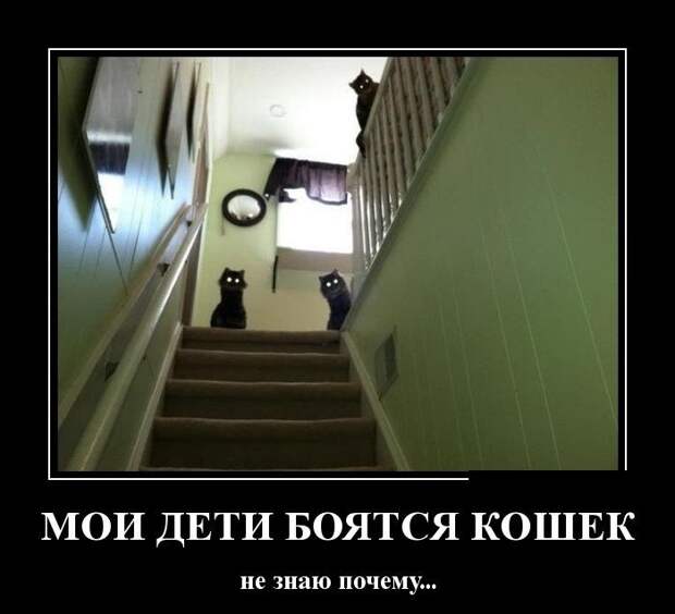 10.  демотиватор, прикол, юмор