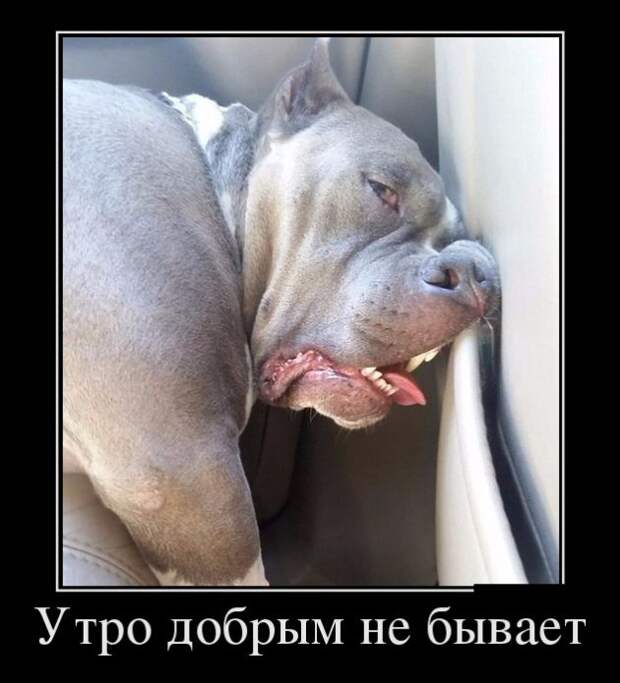 Демотиваторы Демотиваторы