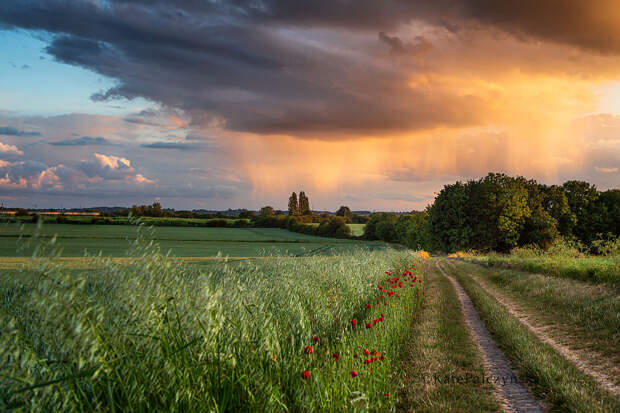 Before sun sets by Kate Palczynska on 500px.com