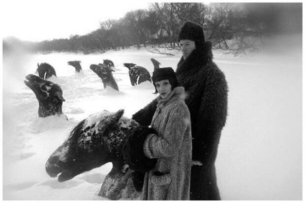 Застывшие в снежном плену лошади или все-таки какой-то странный памятник? всячина, искусство, страшные, ужасные, фото