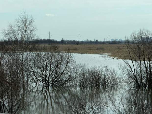Паводок в Тульской области отступает, мосты в Дубенском и Арсеньевском районах открыты