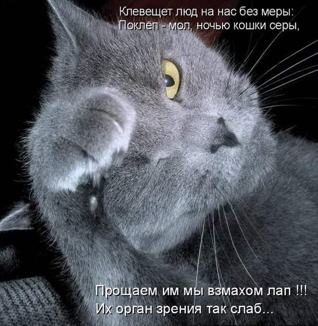 Мысли вслух :)