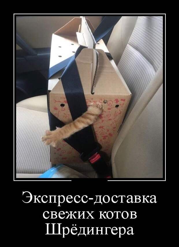 Демотиваторы (30 фото)