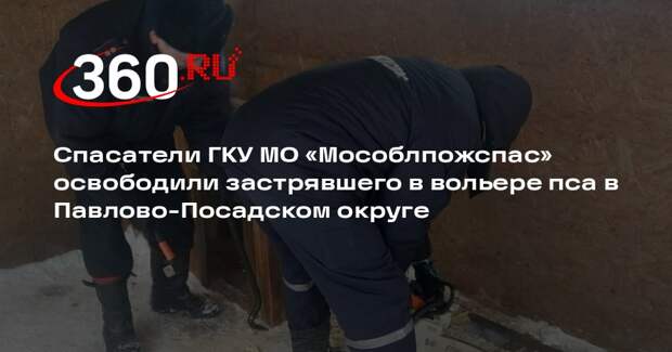 Пожарные спасли застрявшего в вольере пса