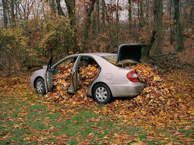 Пять фатальных проблем, грозящих машине из-за опавших листьев