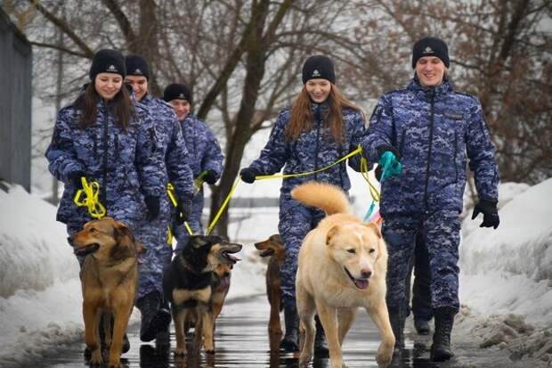 Росгвардейцы оказали помощь одному из приютов для животных на юге Москвы