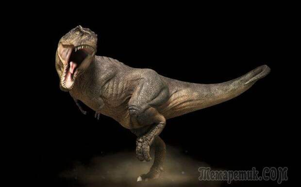 10 распространенных заблуждений о динозаврах