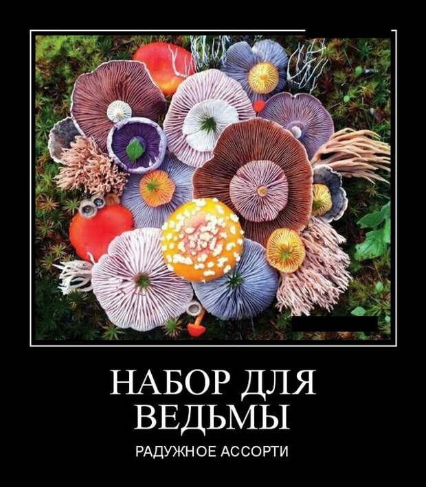 Демотиваторы (20 фото)