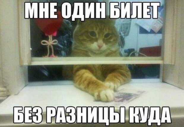 Прикольные картинки понедельника (31 шт)