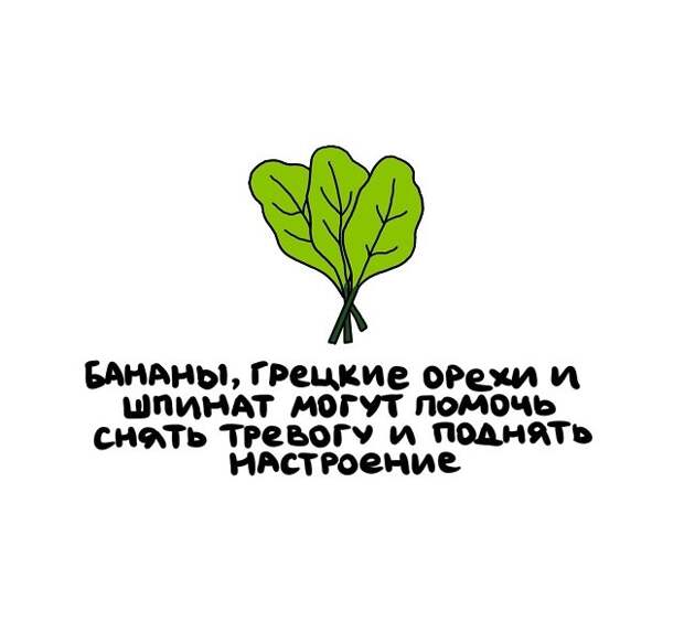 Интересные и коротенькие факты на все случаи жизни