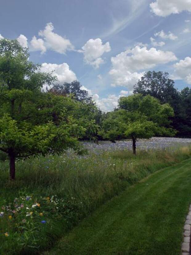 Классический Сад by Lear & Mahoney Landscape Associates