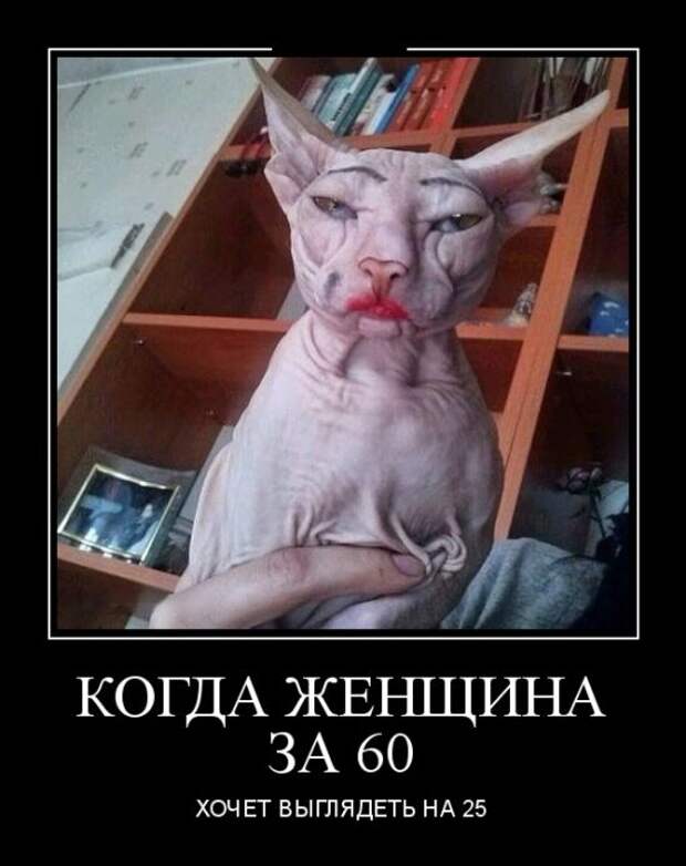 ПОДБОРКА ПРИКОЛЬНЫХ ДЕМОТИВАТОРОВ №616