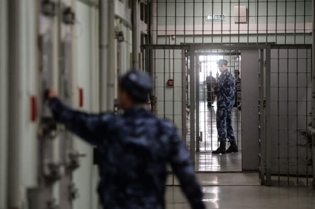 В Омске мужчин, натравивших собаку на зоозащитницу, заключили под стражу