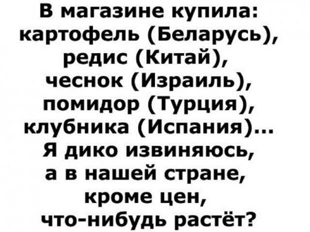 Свежие прикольные картинки (48 шт)