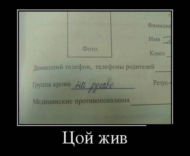 Демотиваторы (30 фото)