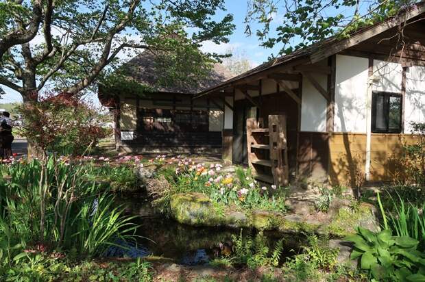 В Японии раздают дома, но с условием
