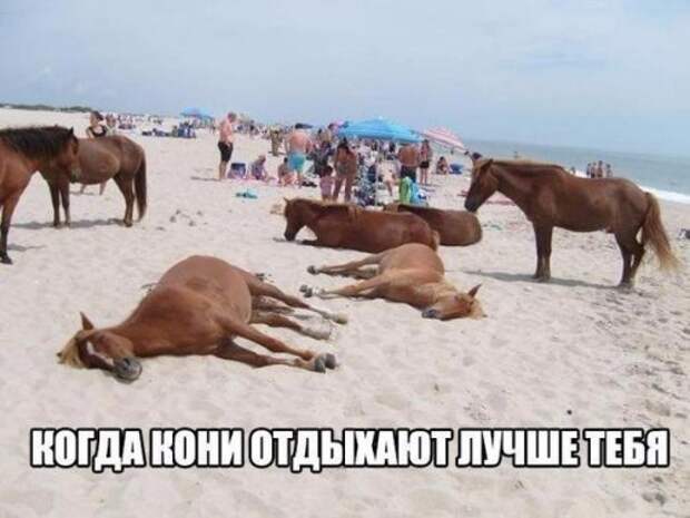 Новые анекдоты (22 шт)
