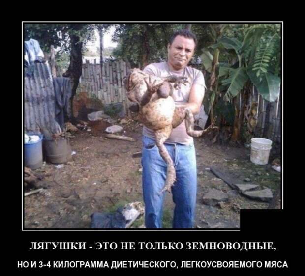 Демотиваторы 29 апреля 2021