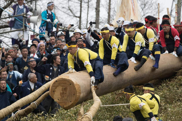 Древняя японская традиция катания на бревнах. Очень странное зрелище