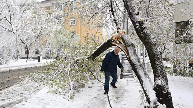 В Москве усилился снегопад