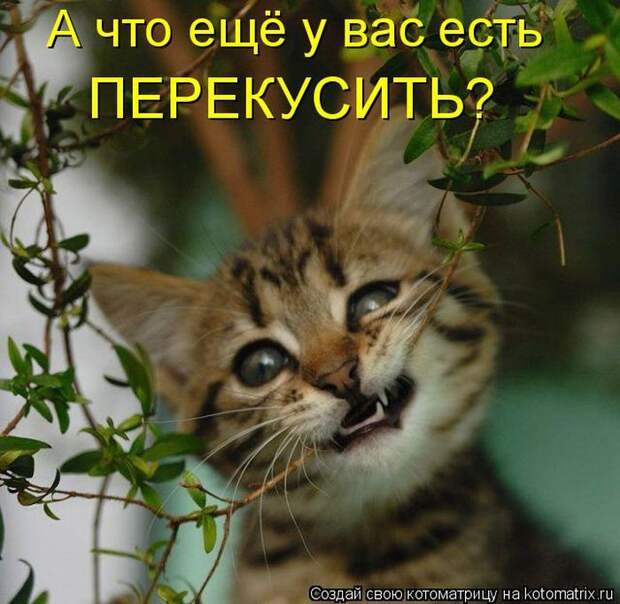 Мысли вслух :)