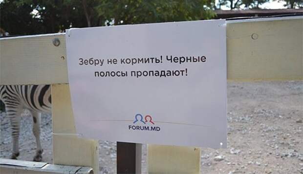Добро пожаловать в зоопарк! Добро пожаловать в зоопарк!