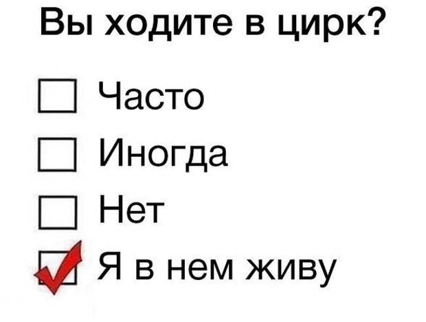 Фотоподборка вторника (55 фото)