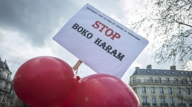 Только совместные усилия африканских государств и России способны ликвидировать угрозу «Боко Харам»