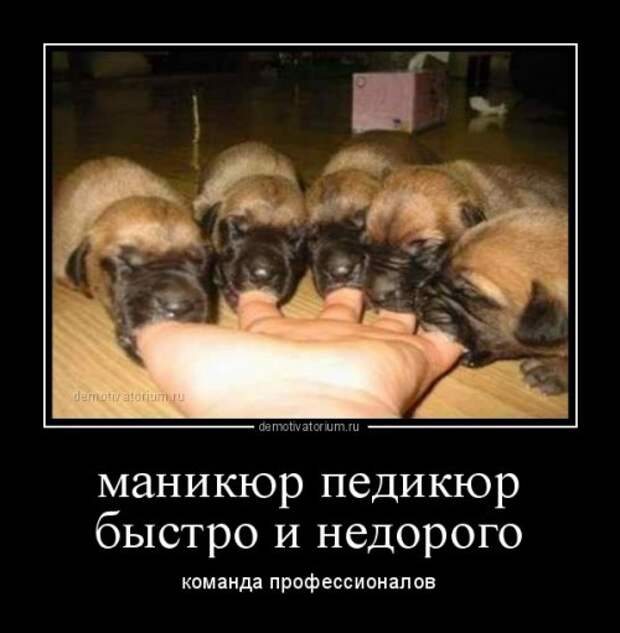 Демотиваторы-приколы (15 шт)