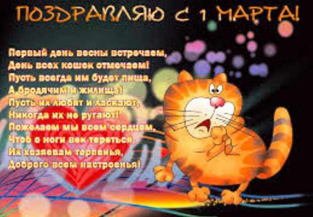 красивое-поздравление-для-кошек