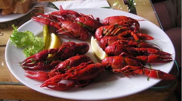 Биологи потребовали немедленно запретить варку живых раков