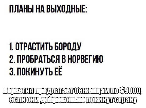 5. 5. прикол, юмор