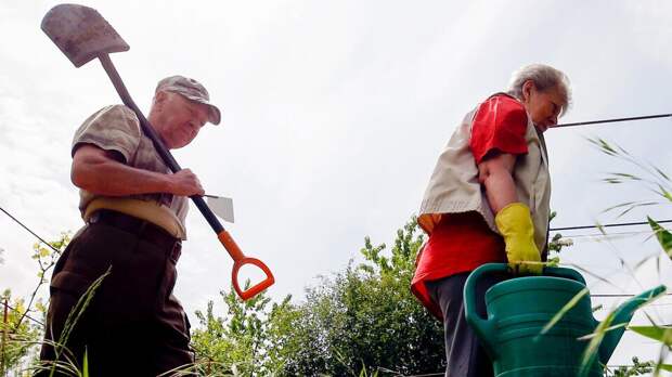 Социальные выплаты, налоги и борщевик: что изменится в жизни россиян с 1 мая