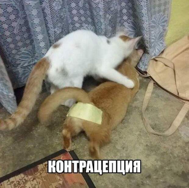 Позитивный пост+126