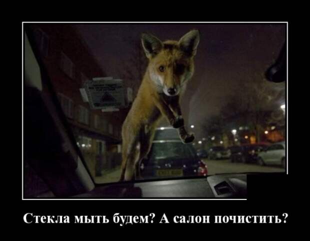 Демотиватор про мойщика авто
