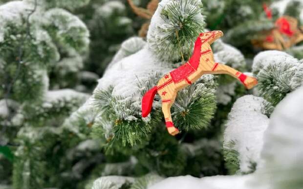 Рязанский священник рассказал, почему православных не поздравляют с годом лошади