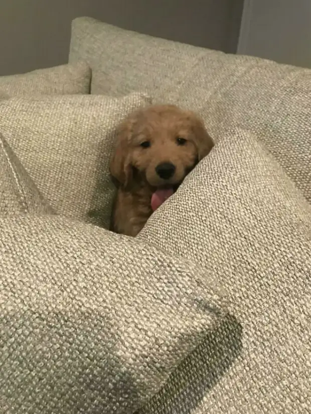 ?