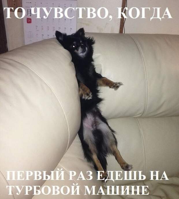 Автоприколы для тех кто за рулем и не только (24 фото)