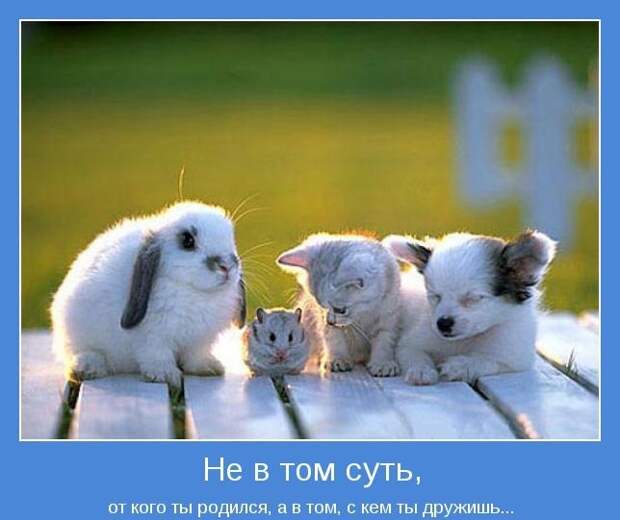Позитивные мотиваторы с глубоким смыслом (10 фото) Позитивные мотиваторы с глубоким смыслом (10 фото)