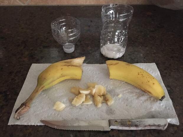 ловушка для мушек