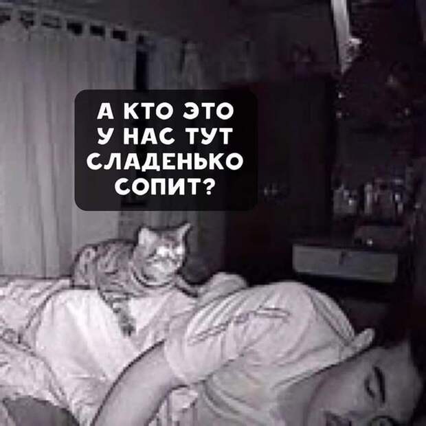 Мой милый человечек Мой милый человечек
