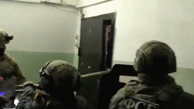 Двое задержаны по делу о «молотках в бутафорской крови», предназначенных для запугивания сотрудников Роскомнадзора