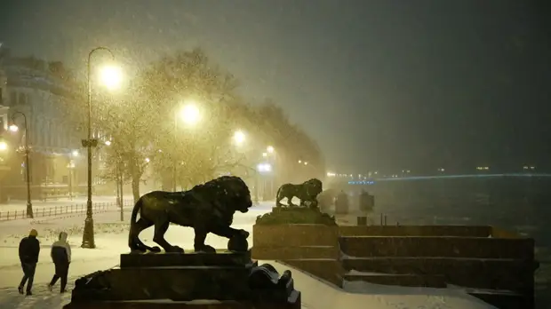 Спасатели предупредили о резком усилении ветра в Петербурге