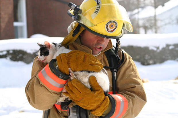 firefighters-rescuing-animals-saving-pets-17-5729c787b4839__605