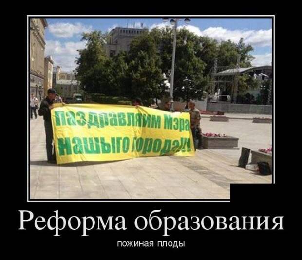 Демотиваторы