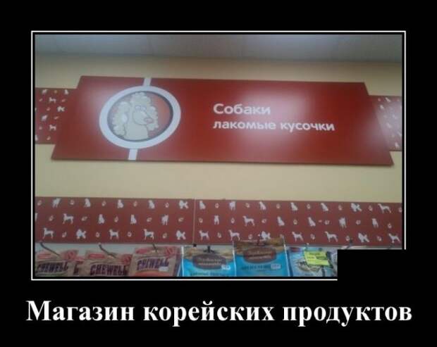 www.vsyako.net