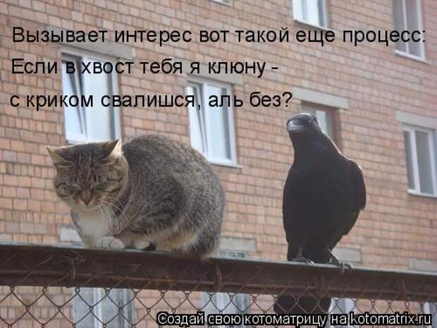 Мысли вслух :)