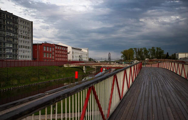 Метеопредупреждение из-за сильного ветра объявлено в Тульской области